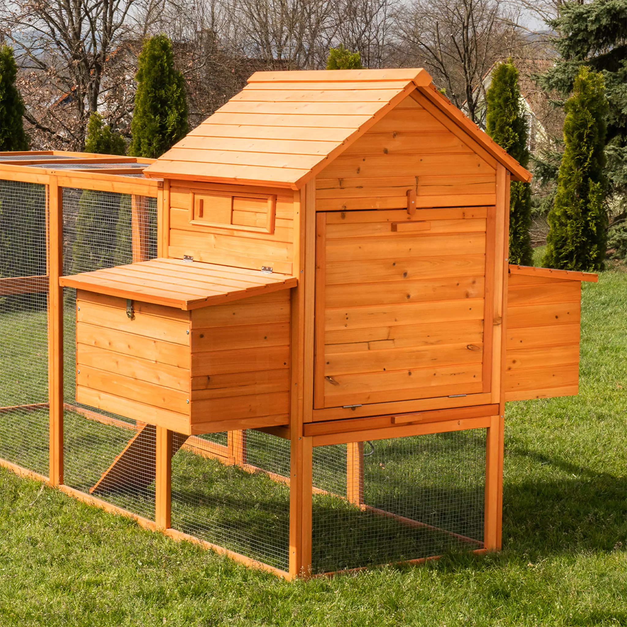 MyAnimal Hühnerstall XXL für 8 Hühner MH-22